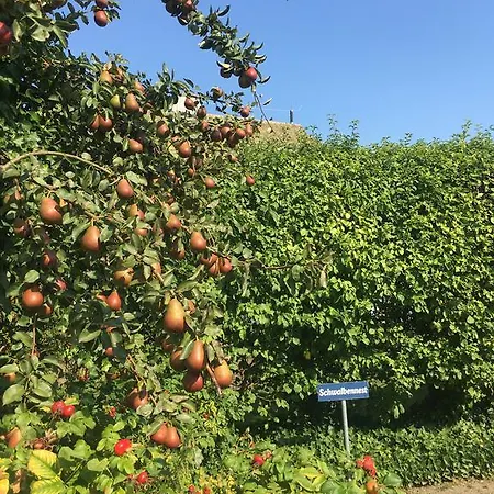 아파트 Schwalbe Wieck/darss *