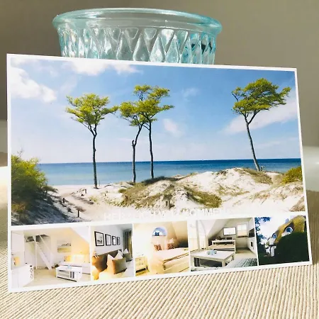 Schwalbe Wieck/darss 아파트 *