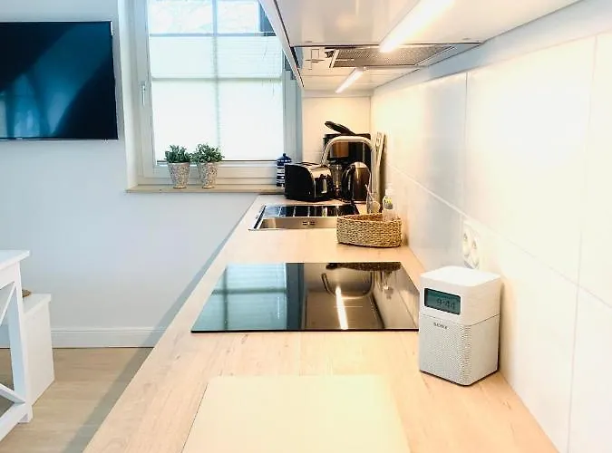 Schwalbe Wieck/darss *