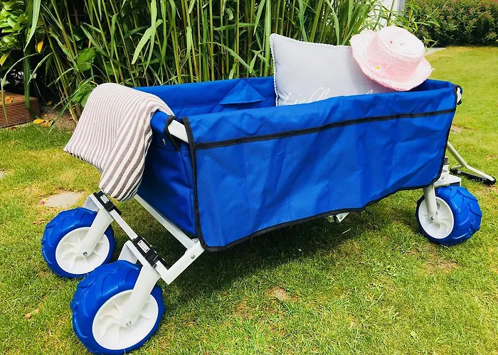 Schwalbe Wieck/darss *